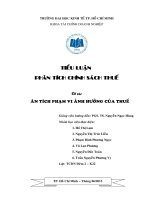 BÁO CÁO THỰC TẬP-PHÂN TÍCH ẢNH HƯỞNG CỦA THUẾ