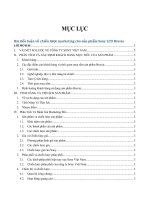 BÁO CÁO THỰC TẬP-Bài tiểu luận về chiến lược marketing cho sản phẩm Sony LCD Bravia