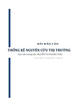 BÁO CÁO THỰC TẬP-THỐNG KÊ NGUYÊN CỨU THỊ TRƯỜNG