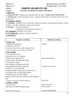 Unit 8 Country life and city life -Tiếng anh 8