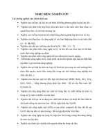 BÁO CÁO THỰC TẬP-HOẠT ĐỘNG NGHIÊN CỨU