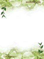 Tiết 33. DIỆN TÍCH HÌNH THANG (Hình học 8)