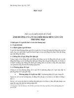 tiểu luận Khái quát về tỉ giá hối đoái và cán cân thương mại