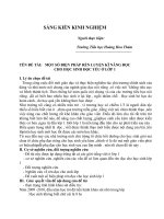 SÁNG KIỀN KN L1 ( HT)