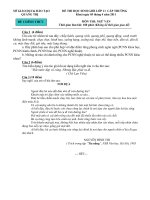 ĐỀ - HDC THI HSG MÔN VĂN 11 - 2011