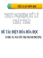BÀI TIỂU LUẬN-ĐIỆN HÓA HÓA HỌC