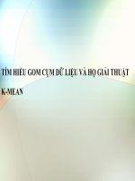 BÀI BÁO CÁO-TÌM HIỂU GOM CỤM DỮ LIỆU VÀ HỌ GIẢI THUẬT K-MEAN