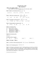 De Kiem tra dai so 10 CB