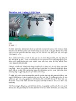 BÀI BÁO CÁO-Ô nhiễm môi trường ở Việt Nam