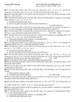 De cuong on tap HKI lop 12-new hot