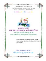 BÀI TIỂU LUẬN-Sử dụng tảo làm sinh vật chỉ thị  trong nghiên cứu đánh giá môi trường nước