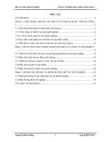 BÀI BÁO CÁO THỰC TẬP-PHÂN TÍCH HOẠT ĐỘNG KINH DOANH CỦA CÔNG TY PHABARCO