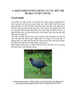 BÀI BÁO CÁO THỰC TẬP-TUYỆT CHỦNG VÀ CÁC MỨC ĐỘ ĐE DỌA TUYỆT CHỦNG