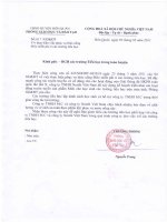 Thực hiện phục vụ thức uống Milo miễn phí ở các trường Tiểu học