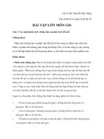 BÀI TẬP LỚN MÔN GIS So sánh phân tích chồng lớp và phân tích liền kề