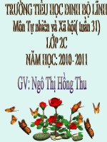 Tự nhiên và Xã hội lớp 2 tuần 31 năm 2010-2011