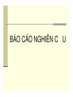 HƯỚNG DẪN BÁO CÁO NGHIÊN CỨU