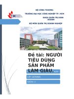BÀI TIỂU LUẬN- QUẢN TRỊ DOANH NGHIỆP-Nghiên cứu về người tiêu dùng