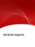 BÀI BÁO CÁO THỰC TẬP-MÔI TRƯỜNG MARKETING