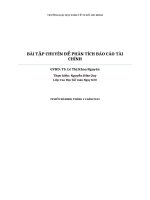 BÀI TIỂU LUẬN-BÀI TẬP CHUYÊN ĐỀ PHÂN TÍCH BÁO CÁO TÀI CHÍNH