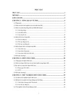 BÁO CÁO THỰC TẬP-TỔNG QUAN VỀ IMS