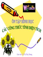 ÔN TẬP HÌNH HỌC - DIỆN TÍCH CÁC HÌNH