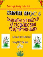 Bai 43 tiet 53 khai niem so luoc ve phan loai thuc vat