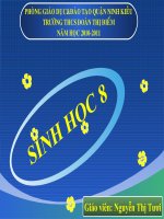 Bài 58 Tuyến sinh dục