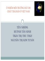 BÀI BÁO CÁO THỰC TẬP-Ô NHIỄM MÔI TRƯỜNG ĐẤT DO CHẤT THẢI RẮN Ở VIỆT NAM