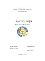 BÀI TIỂU LUẬN- MÔN-    THỰC HÀNH VI XỬ LÝ