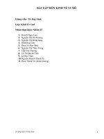 TỔNG hợp bài tập môn KINH tế VI mô