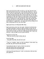 BÁO CÁO THỰC TẬP-ĐIỂM CỦA NGÔN NGỮ VĂN HỌC