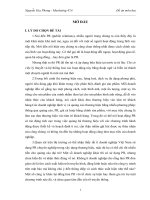 BÀI BÁO CÁO THỰC TẬP-LÝ LUẬN CHUNG VỀ PR VA PR QUA BÓNG ĐÁ.