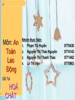 BÀI TIỂU LUẬN-HOÁ CHẤT ĐỘC HẠI