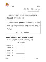 AV 8 Unit 6 The young pioneers club 2