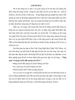 BÀI BÁO CÁO THỰC TẬP-Tổng quan về mạng truyền dẫn quang trên HLS