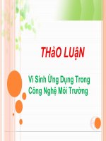 BÀI TIỂU LUẬN-Vi Sinh Ứng Dụng Trong Công Nghệ Môi Trường