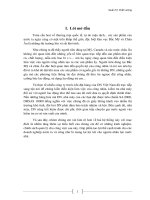 BÀI TIỂU LUẬN-HỆ THỐNG Quản Lý Chấ Lượng SA 8000