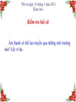 Tuần 22: Âm thanh trong cuộc sống
