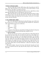 SKKN Môn tập làm văn lớp 3