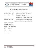 BÀI BÁO CÁO THỰC TẬP-Tìm hiểu công tác thiết kế, thi công đường ống ngầm cà cáp ngầm cho các công trình dầu khí biển