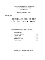 BÁO CÁO THỰC TẬP-CHÍNH SÁCH CHIA CỔ TỨC CỦA CÔNG TY NORTHBORO