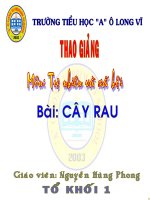 Cây rau - Tự nhiên và xã hội