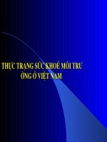 tiểu luận THỰC TRẠNG SỨC KHỎE MÔI TRƯỜNG Ở Việt nam