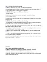 BÀI BÁO CÁO -MỘT SỐ ĐIỀU LUẬT VỀ Cam kết bảo vệ môi trường