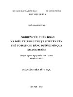 Nghiên cứu chẩn đoán và điều trị u tuyến yên thể to đầu chi bằng đường mổ qua xoang bướm