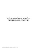 BÁO CÁO-TÀI LIỆU HƯỚNG DẪN SỬ DỤNG HỆ THỐNG TUNNEL BROKER CỦA VNNIC