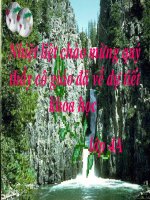 Tuần 22: Bài 48 Ánh sáng cần cho sự sống