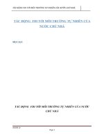 BÀI BÁO CÁO -TÁC ĐỘNG  FDI TỚI MÔI TRƯỜNG TỰ NHIÊN CỦA NƯỚC CHỦ NHÀ