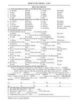 ĐỀ LUYỆN TẬP HSG SỐ - LỚP 9